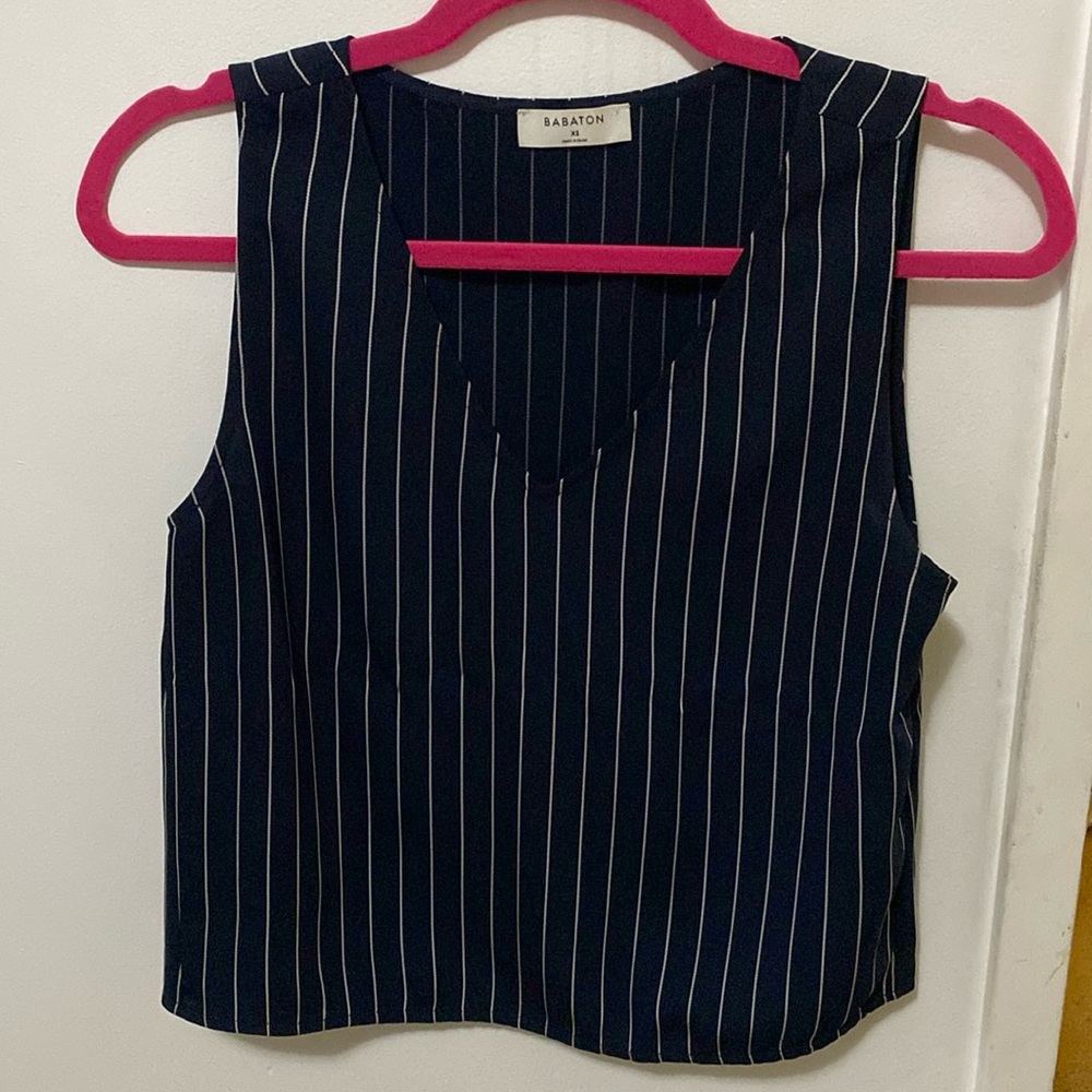 Babaton Aritzia stripe tank blouse